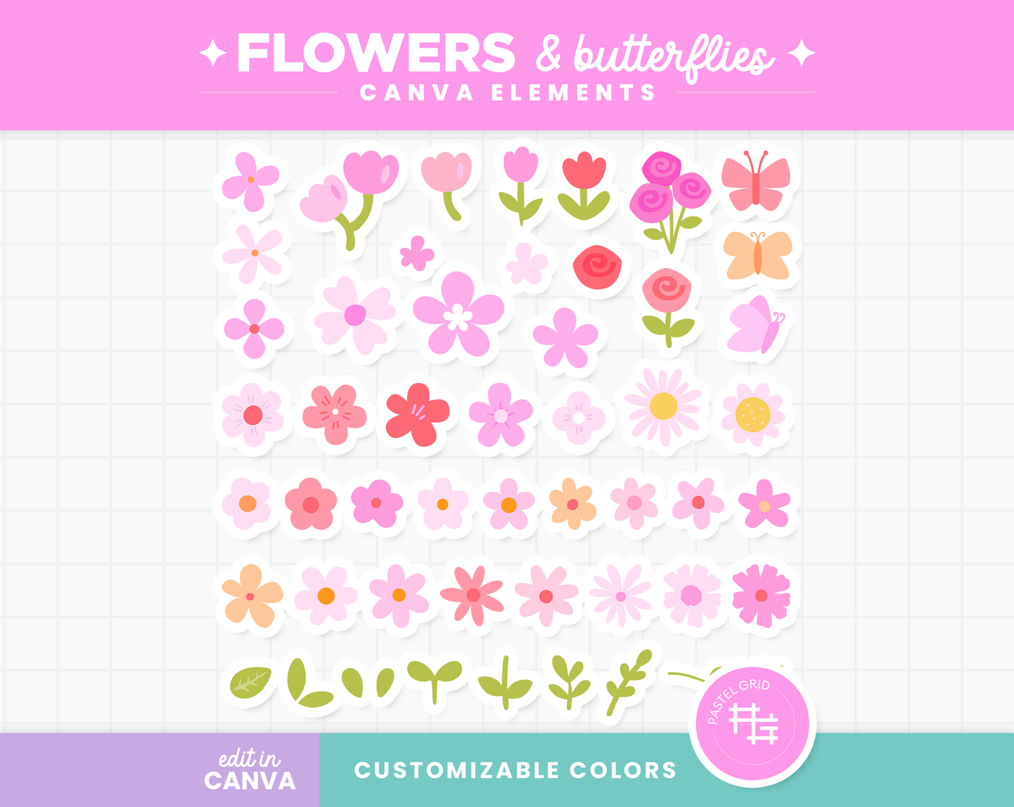Flowers & Butterflies