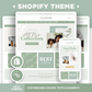 Shopify Theme