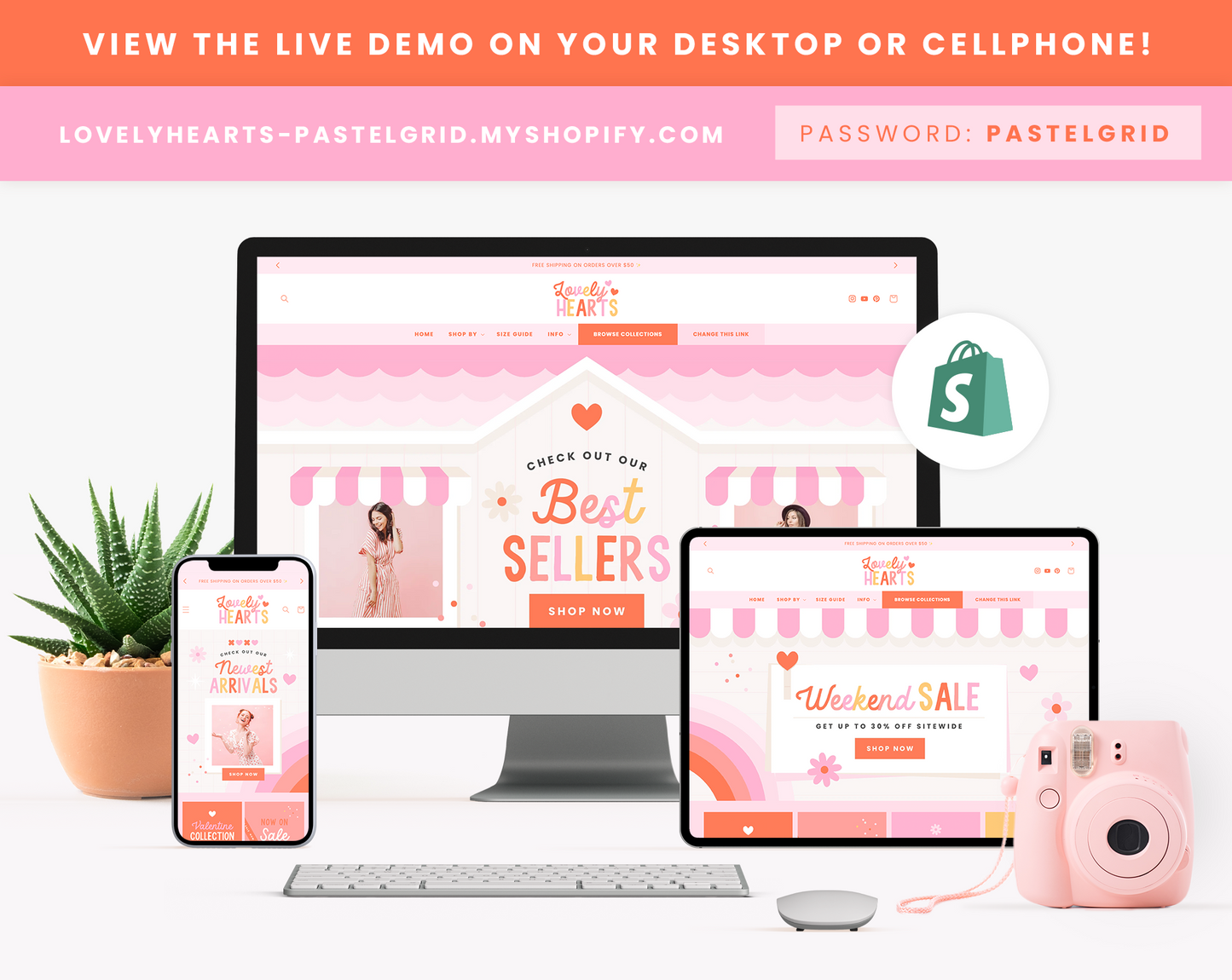 Shopify Theme