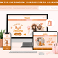 Shopify Theme