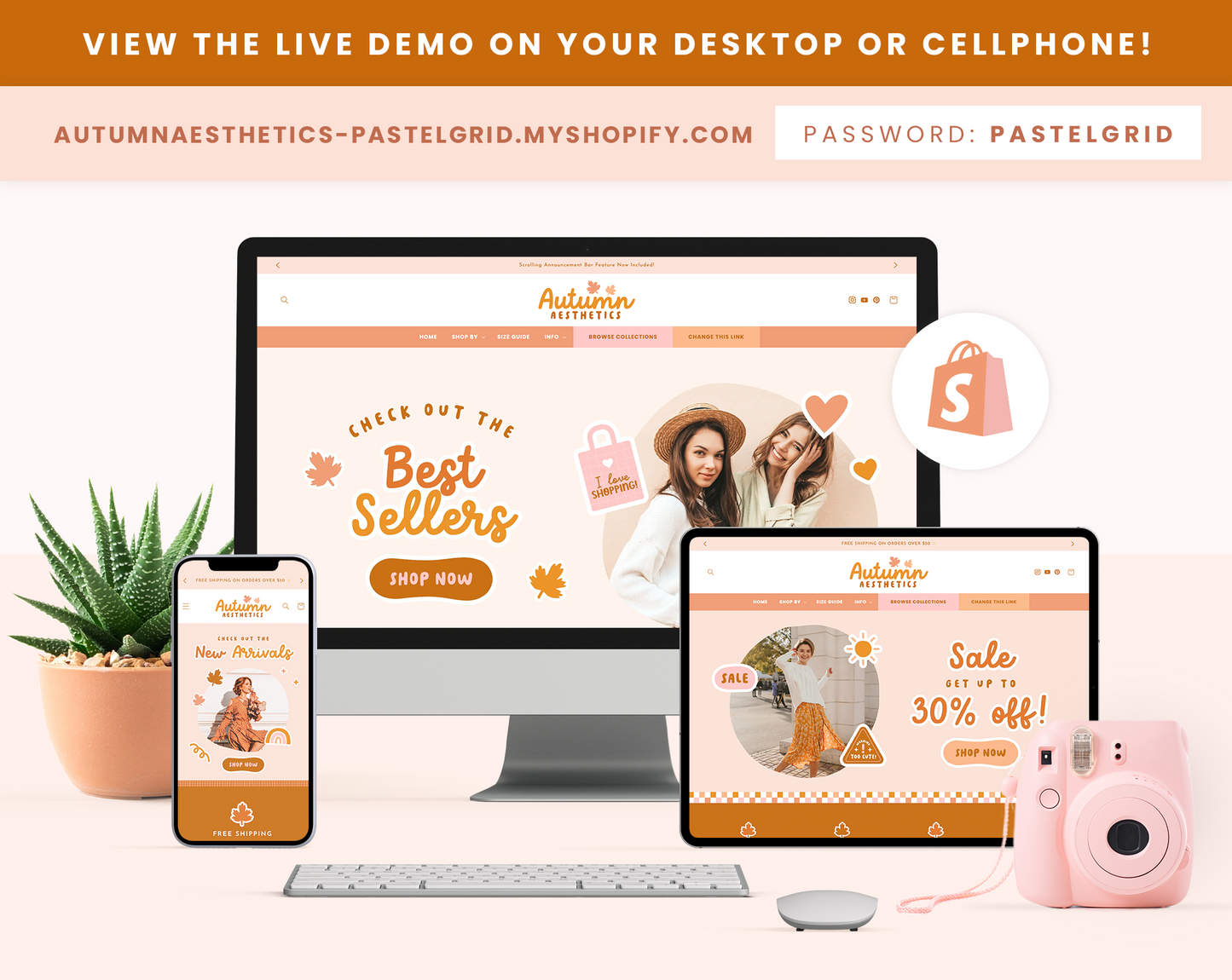 Shopify Theme